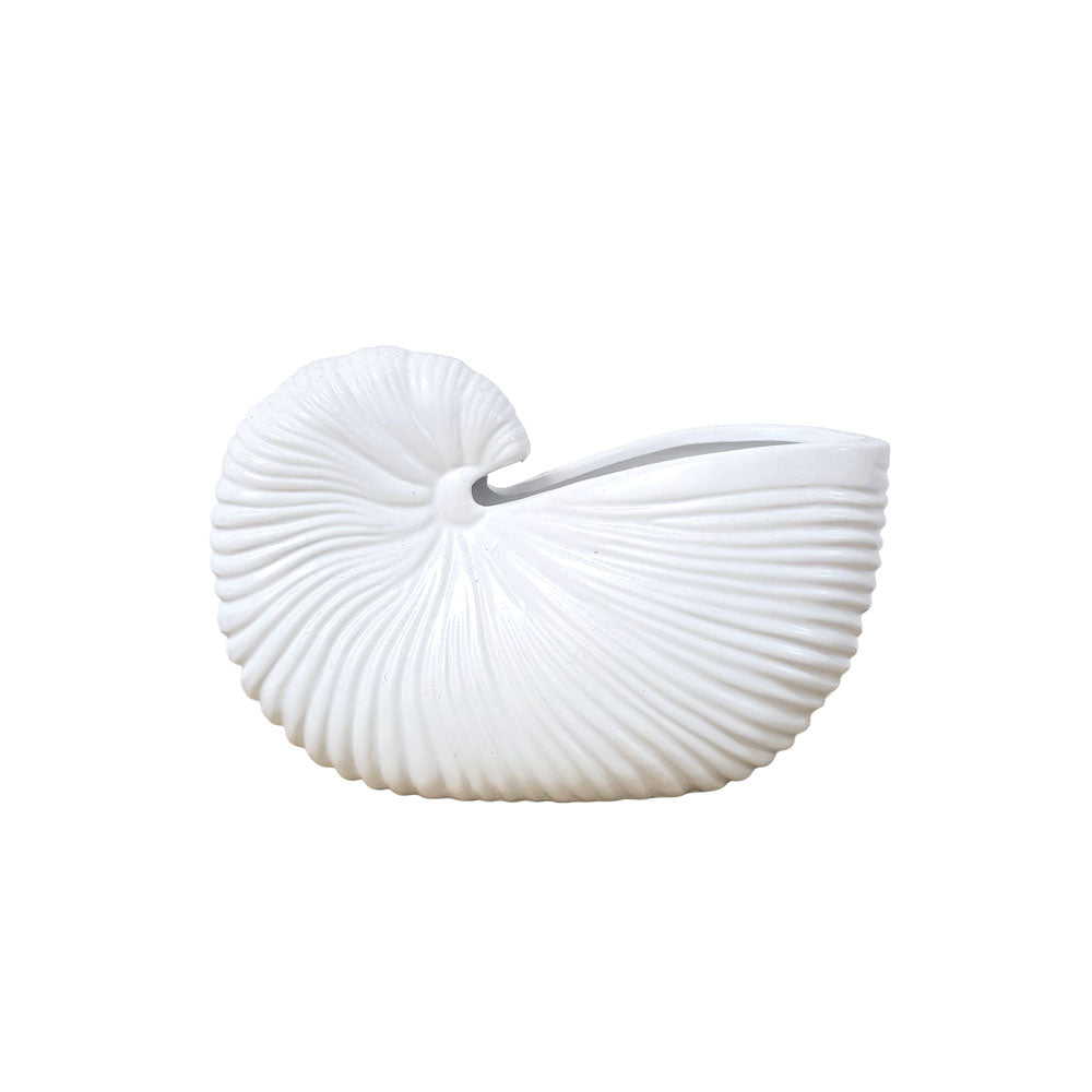 White Seashell Vase #V169