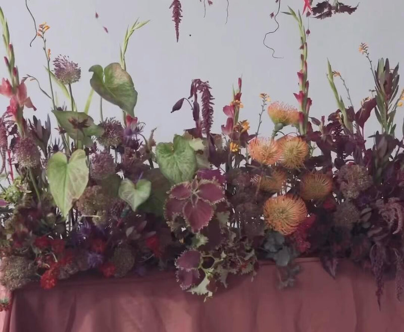 Dried, for Boho Romance
