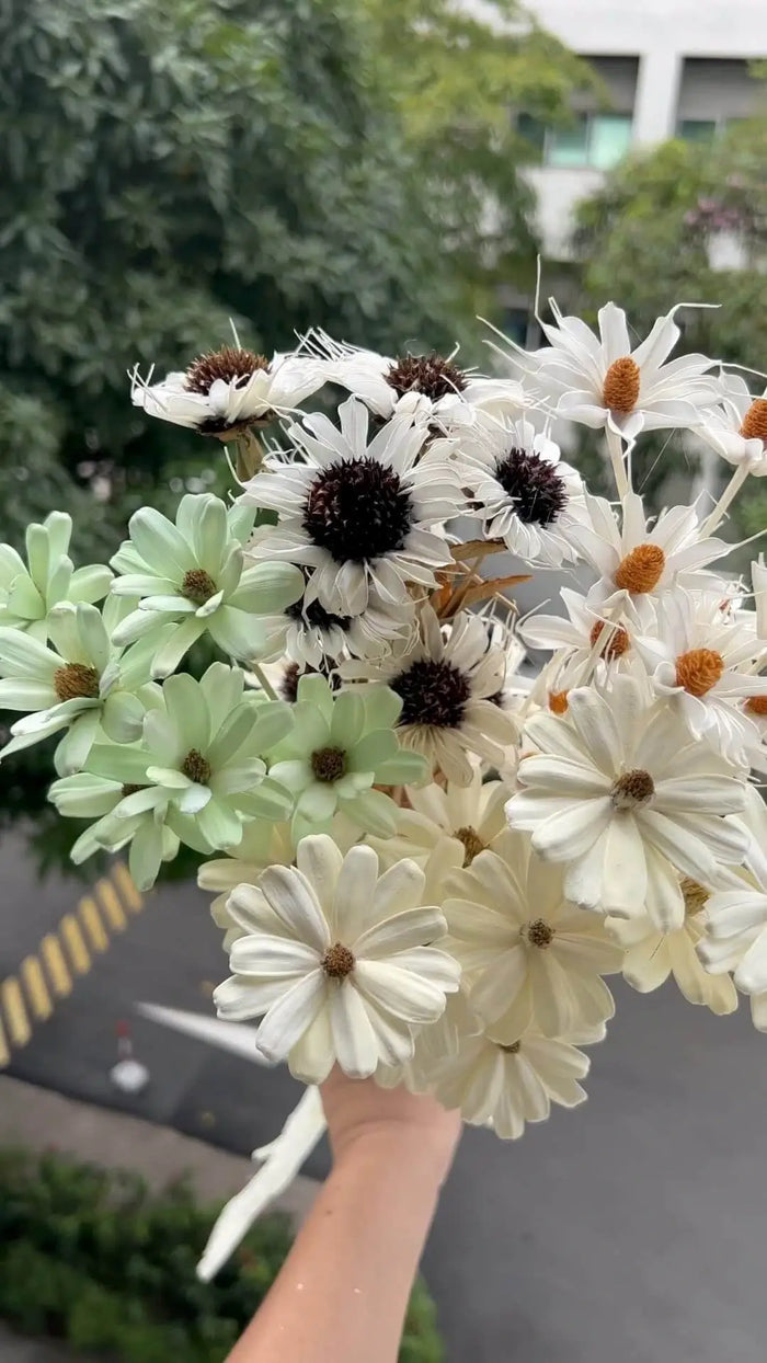 Dried daisy bouquet
